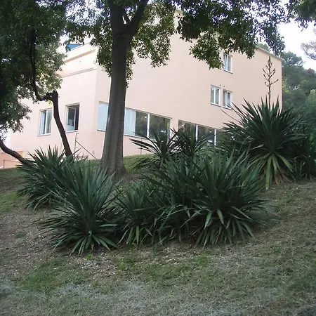 Vasic Apartment Pula